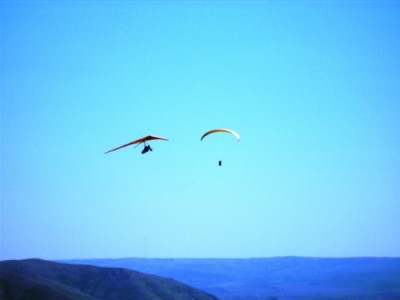 IMG_0290.JPG