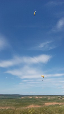 IMG_20150614_121336.jpg