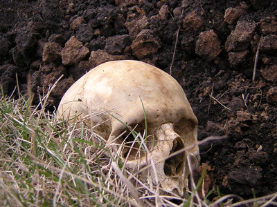 DSCN1535.JPG