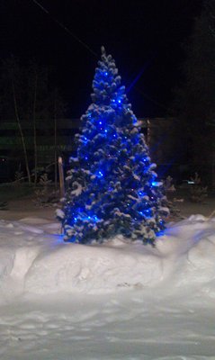 IMAG0116.jpg