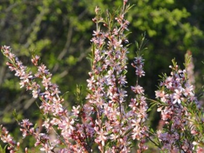 DSC03112.JPG