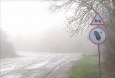 1428002457_road-sign-001.jpg